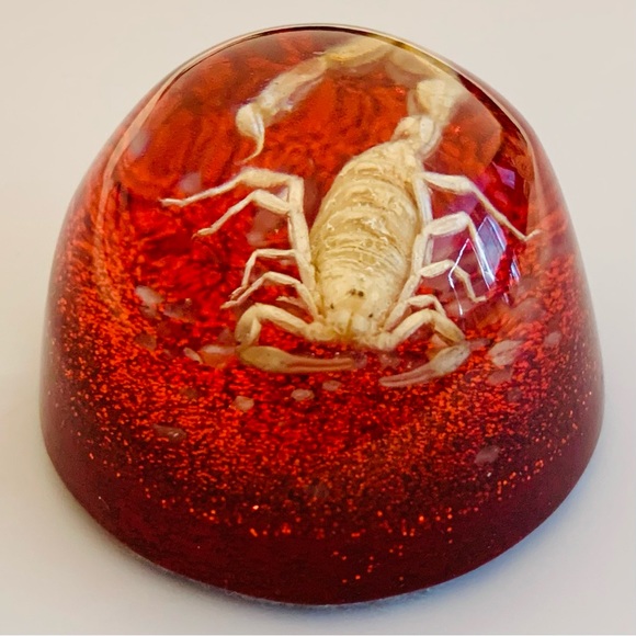 Scorpion Paperweight Acrylic Resin Dome Red Base with Glitter Felt Bottom - Picture 2 of 14
